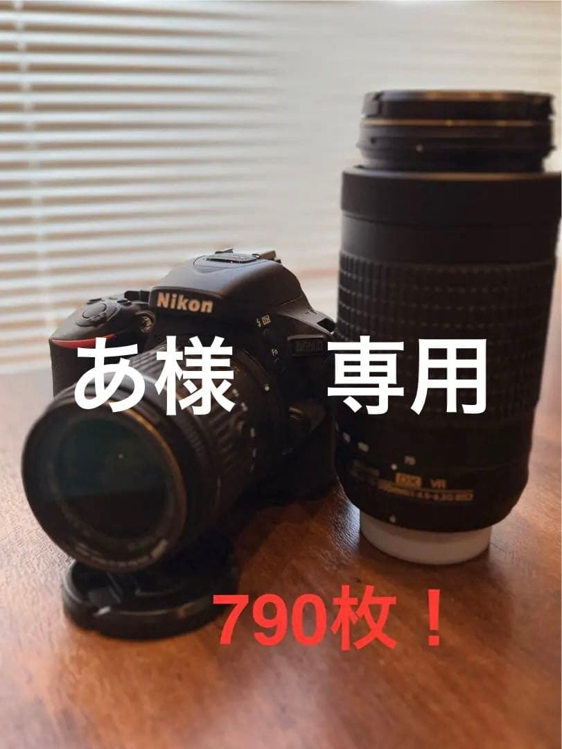 Nikon D5600 ダブルズームキット　極美品