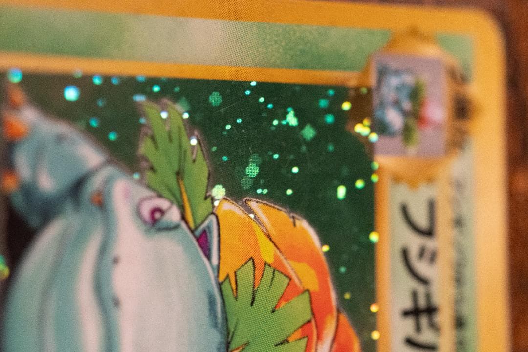 旧裏　フシギバナ ★ 第1弾拡張パック　マークあり　進化系セット