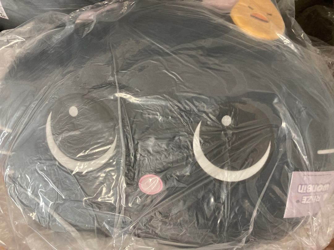 RIIZE POPUP ウォンビン トルビョン ライズ　中国限定 抱きまくら