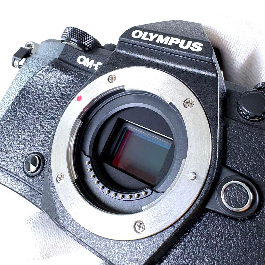 OLYMPUS OM-D E-M5 Mark II ミラーレス一眼カメラ