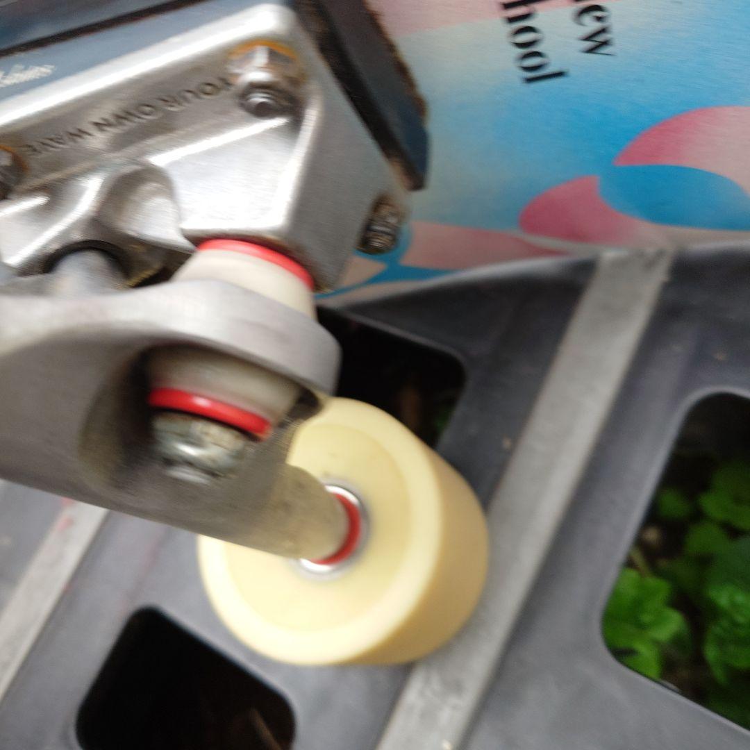 yow snappers　カスタム品