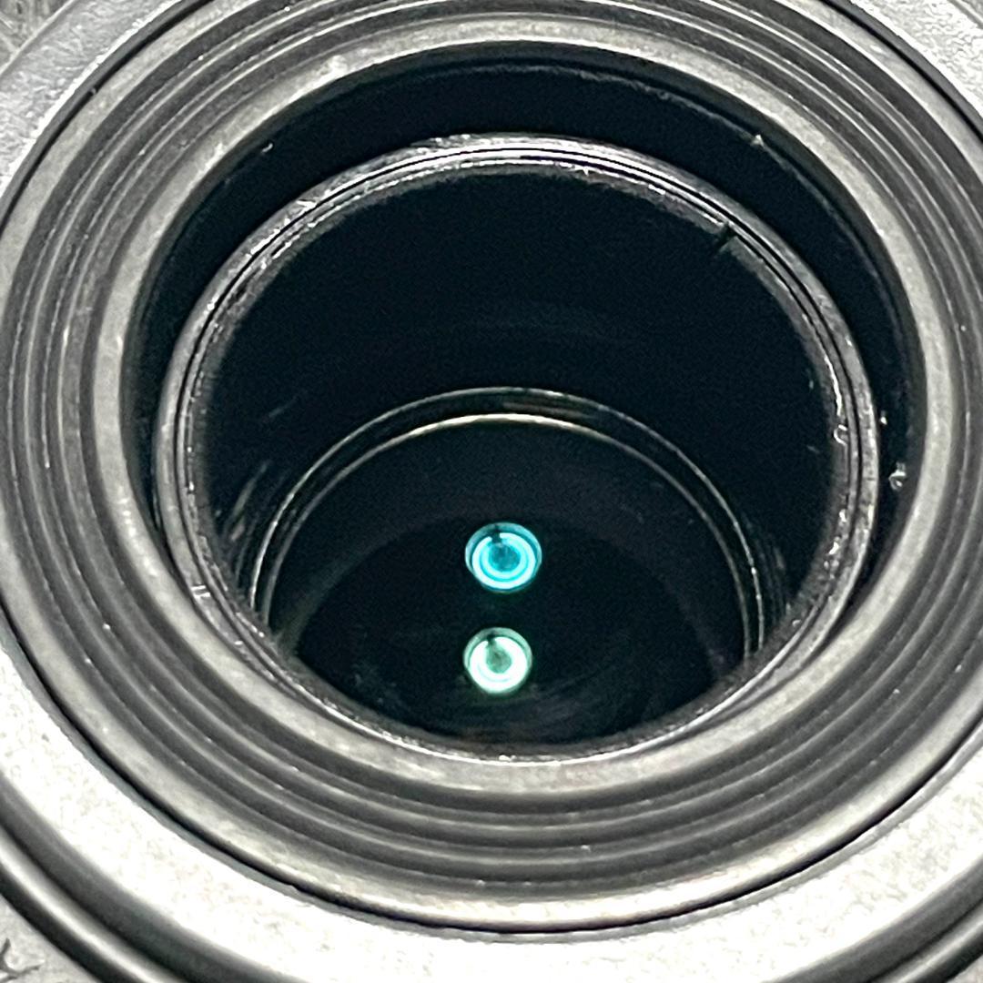 遠くを大きく写せる❣️ Canon EF-S 55-250mm 望遠ズームレンズ