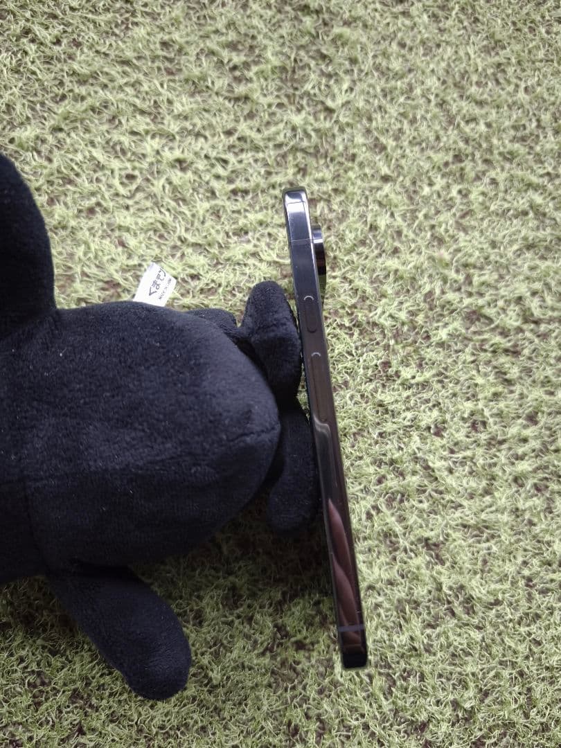 Google Pixel9proXL 美品 torrasMagSafeケース付き