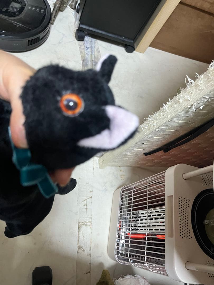 黒いぬいぐるみ猫