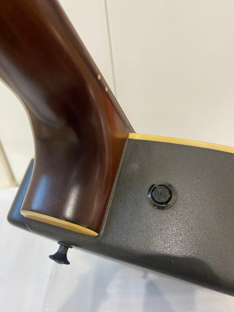 YAMAHA ヤマハAPX-6S