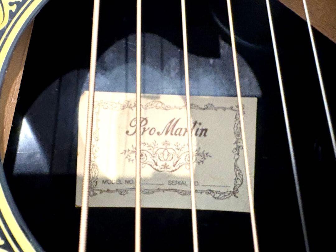 プロマーチン　Pro Martin オベーション　エレアコアコースティックギター