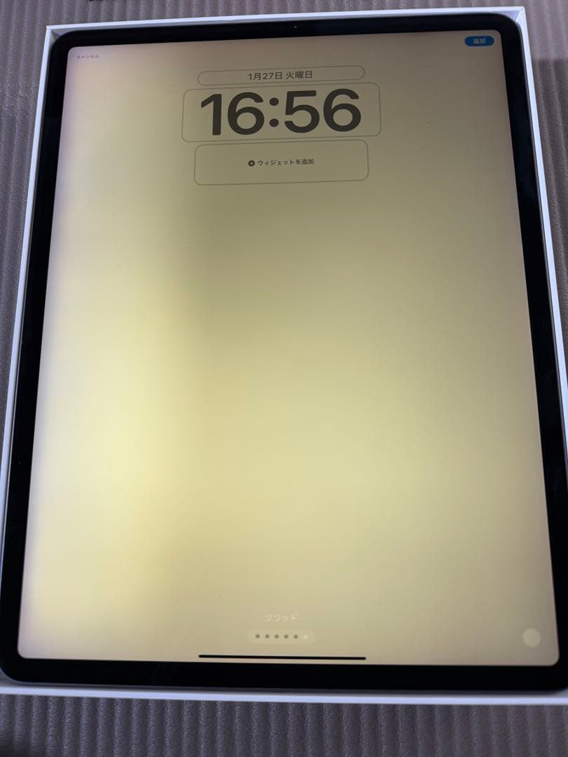 天*水様 画面焼けあり　iPad Pro 12.9インチ 256GB Wi-Fi