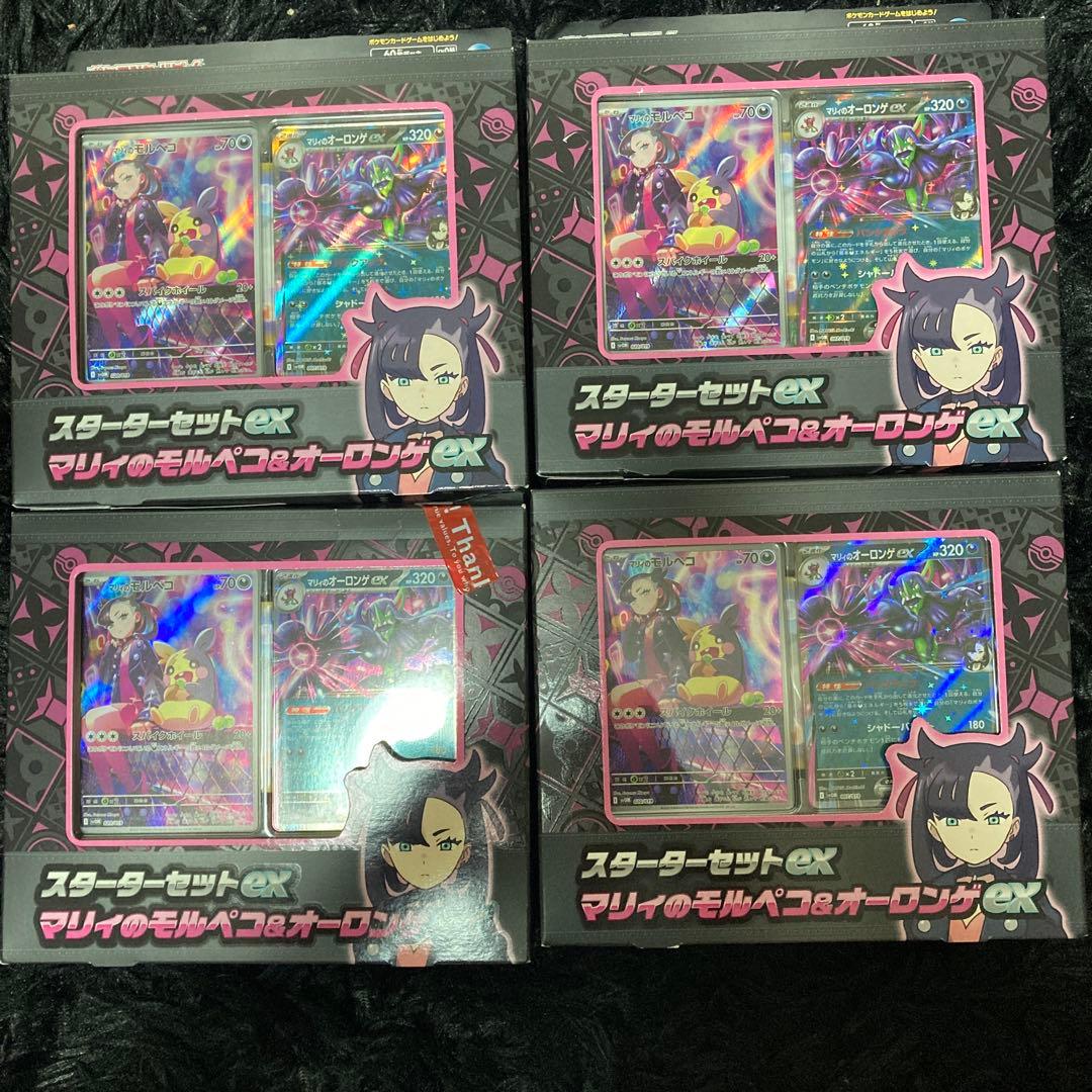 マリィのモルペコ　スターターセット　4個セット　新品未開封品