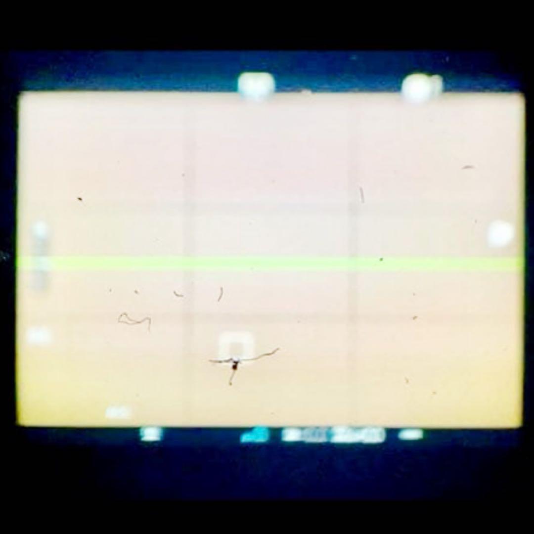 【最終値下げ】FUJIFILM X-Pro2 ＆NOKTON 35mm F1.2