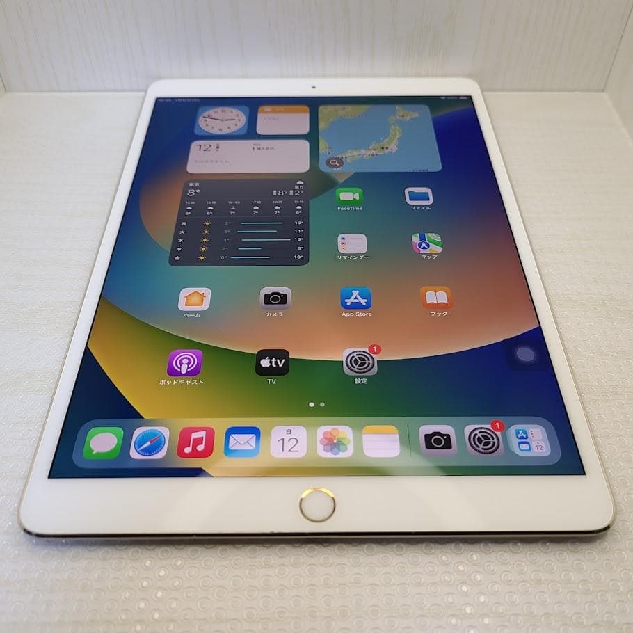 iPad Pro 10.5 Cellular◆512GB / A1709※訳アリ