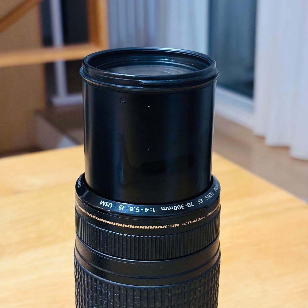 レンズ(ズーム) Canon EF70-300mm 1:4-5.6 IS USM