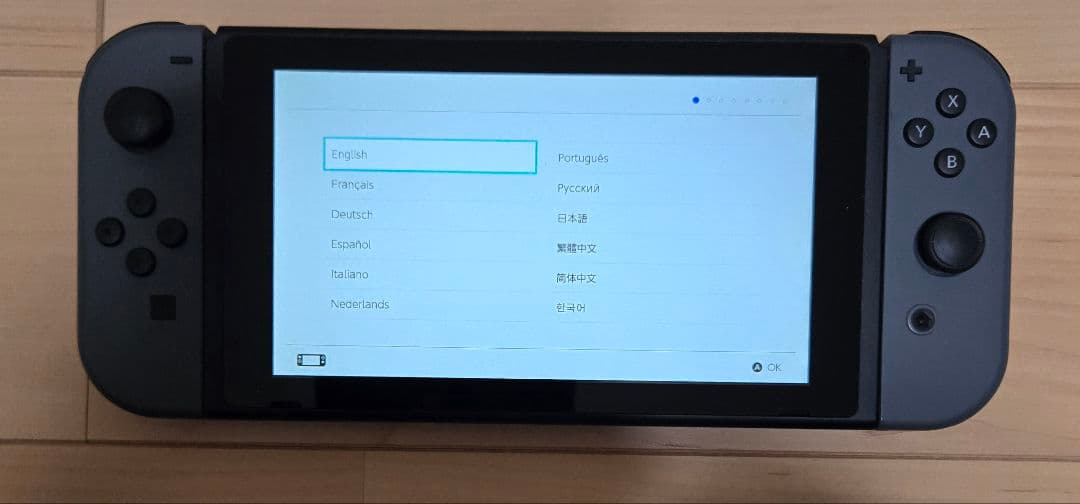 Nintendo Switch 本体 グレー 純正プロコン付き