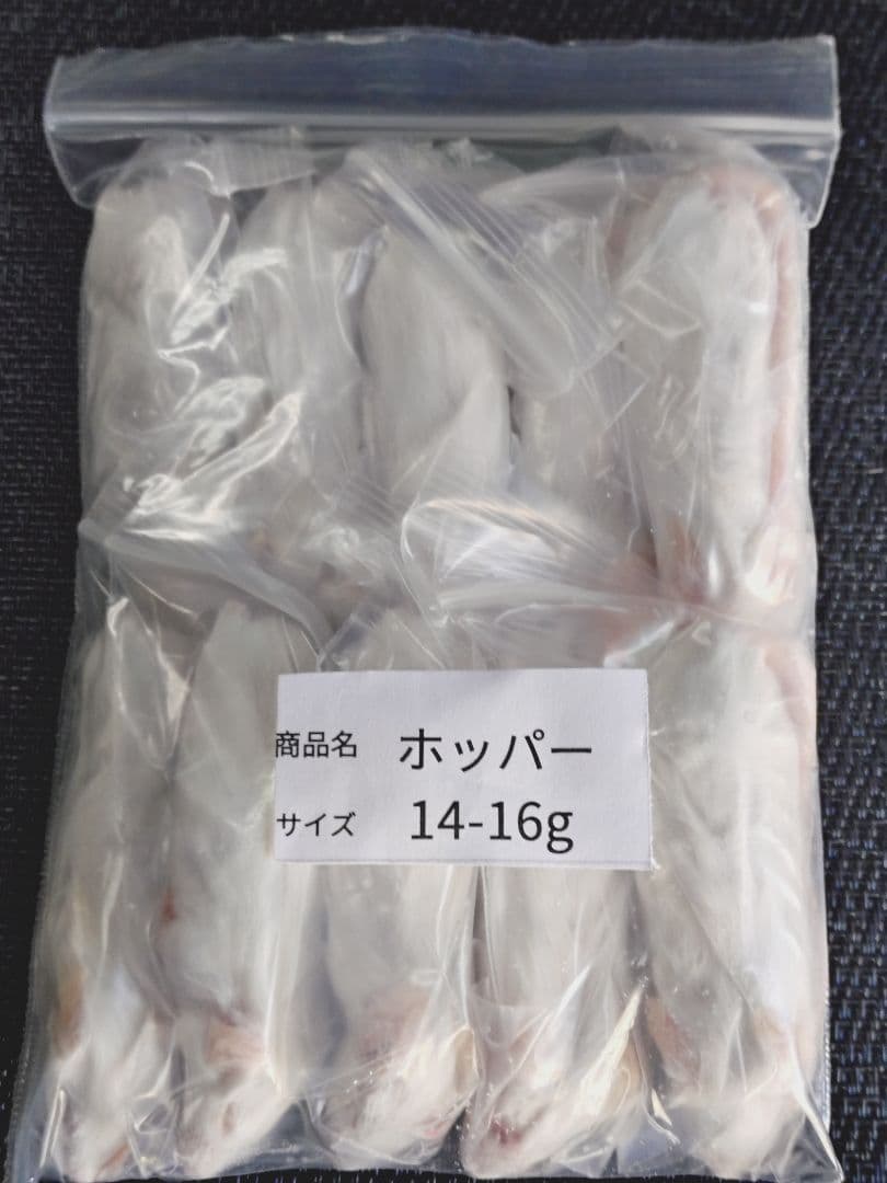 送料無料 冷凍マウスホッパー100匹　ファジー30匹