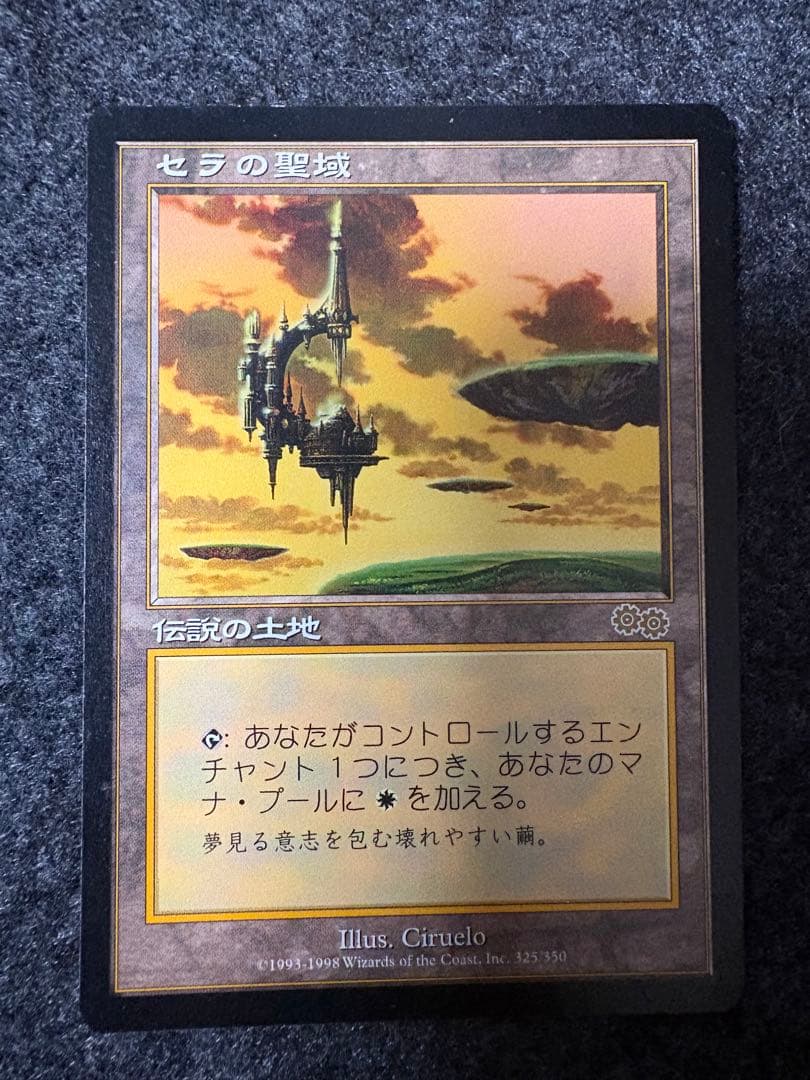 美品　MTG セラの聖域　日本語版