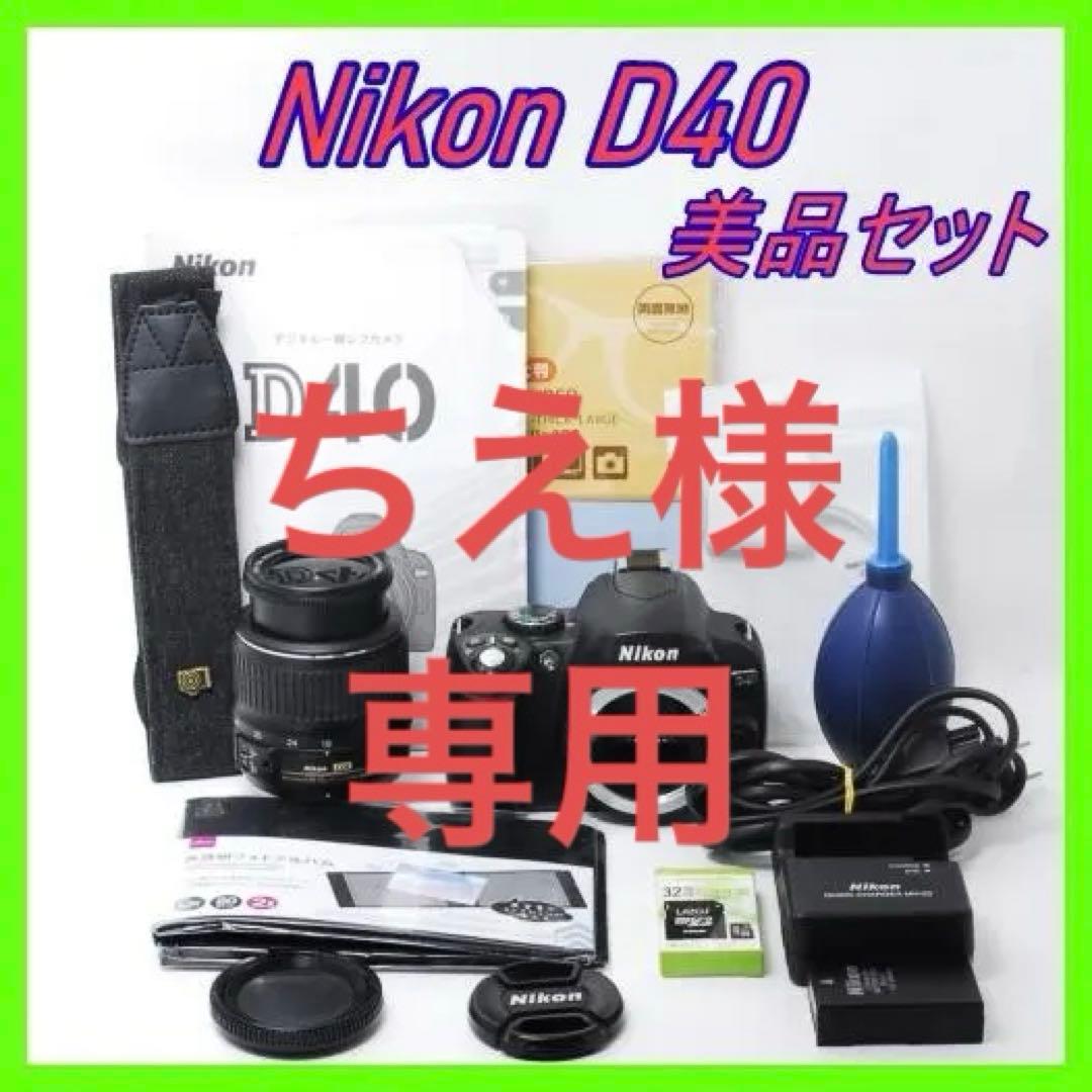 L判アルバム付 Nikon D40 美品✨標準レンズ