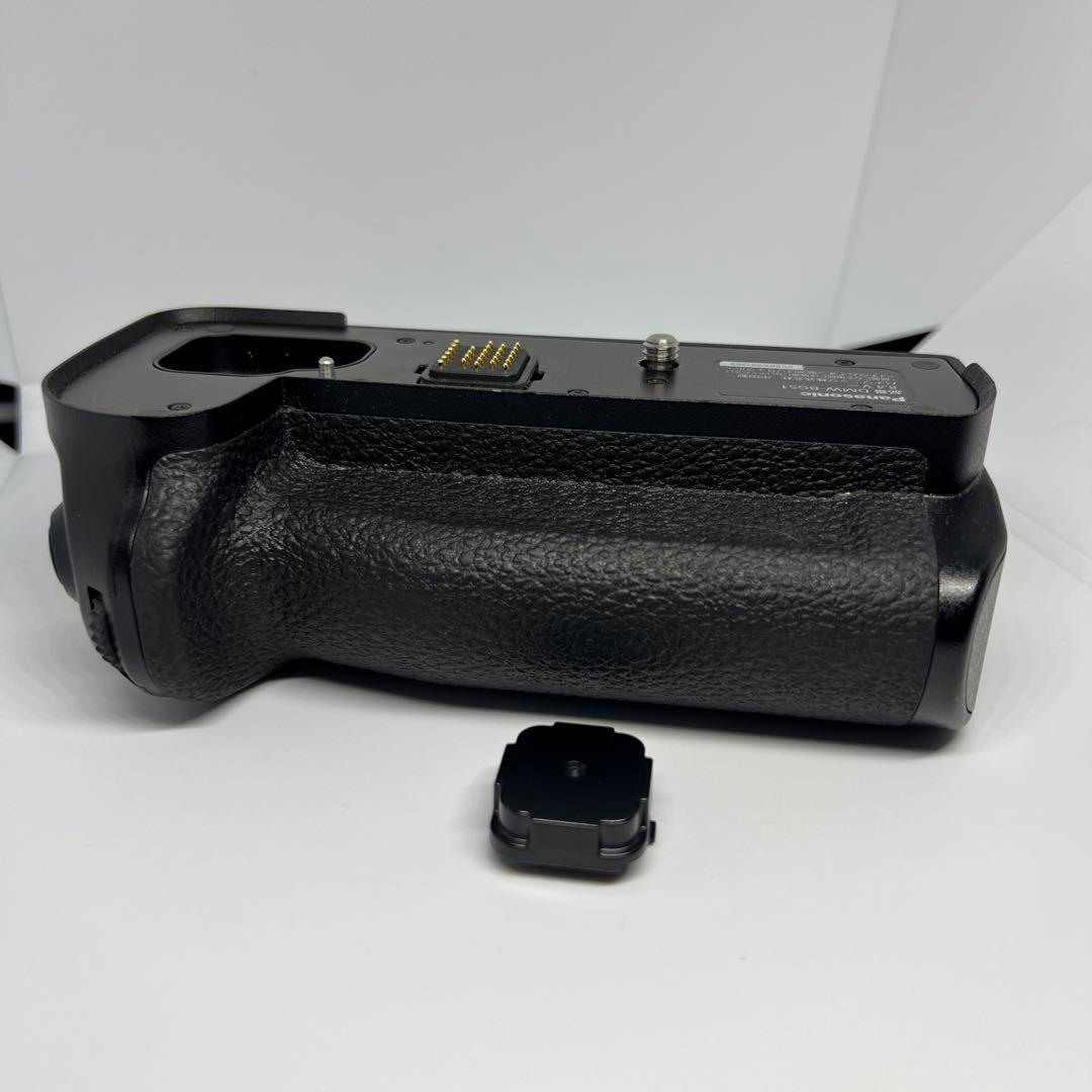 （本日限定大特価）Panasonic LUMIX S1