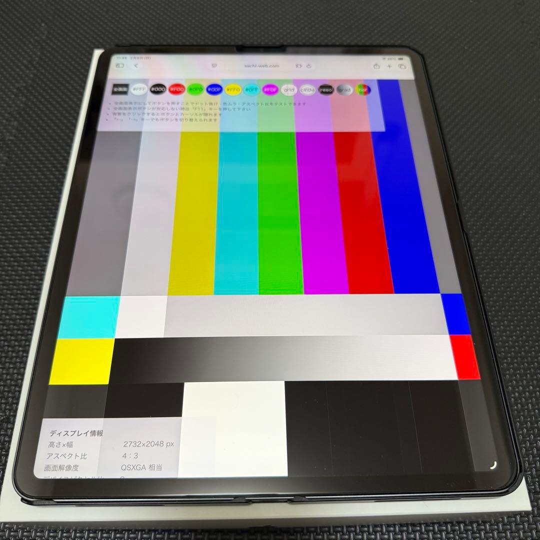 超美品 iPad Pro 第2世代 12.9インチ Wi-Fi 1TB +α