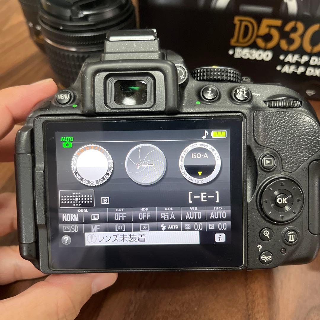 【超美品】　Nikon D5300 デジタル一眼レフカメラ レンズ3本セット