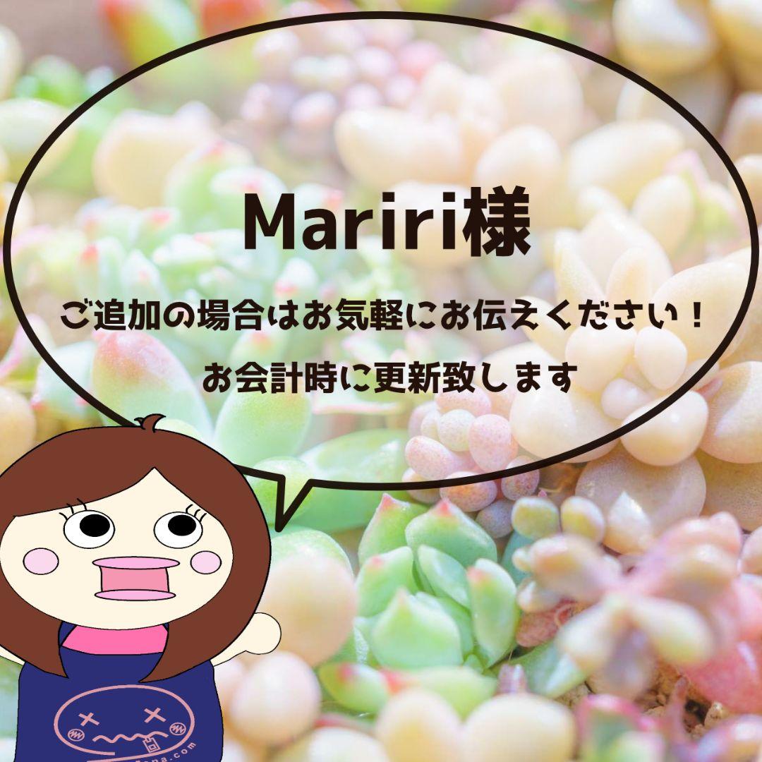 Mariri様