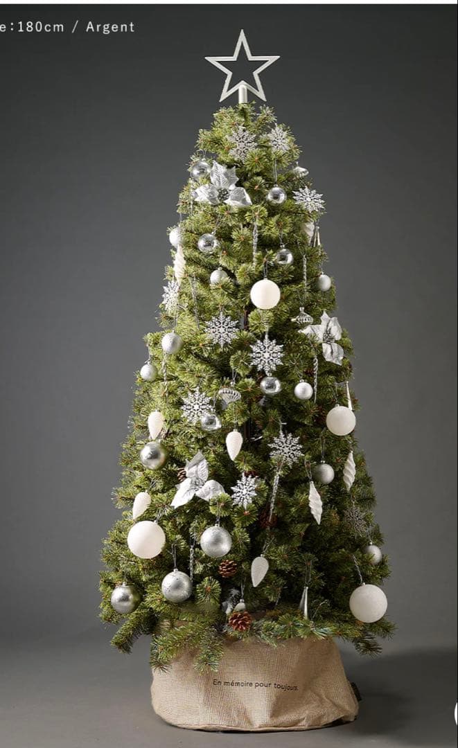 アルザスクリスマスツリー180 2024年