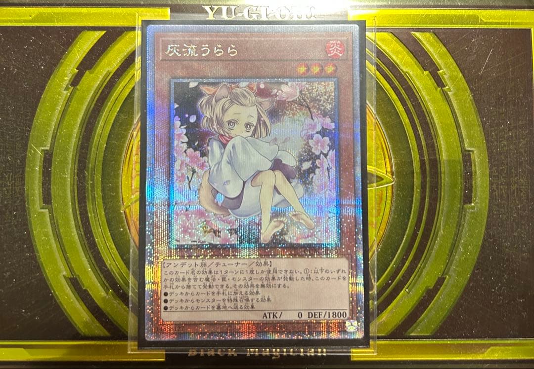 遊戯王　灰流うらら　絵違い　25thクォーターセンチュリーシークレット