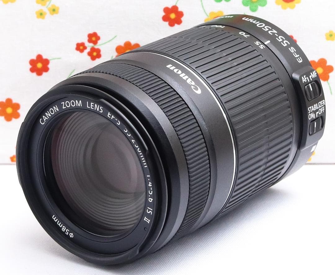 キャノン Canon EF-S 55-250mm IS II☆遠くの笑顔くっきり