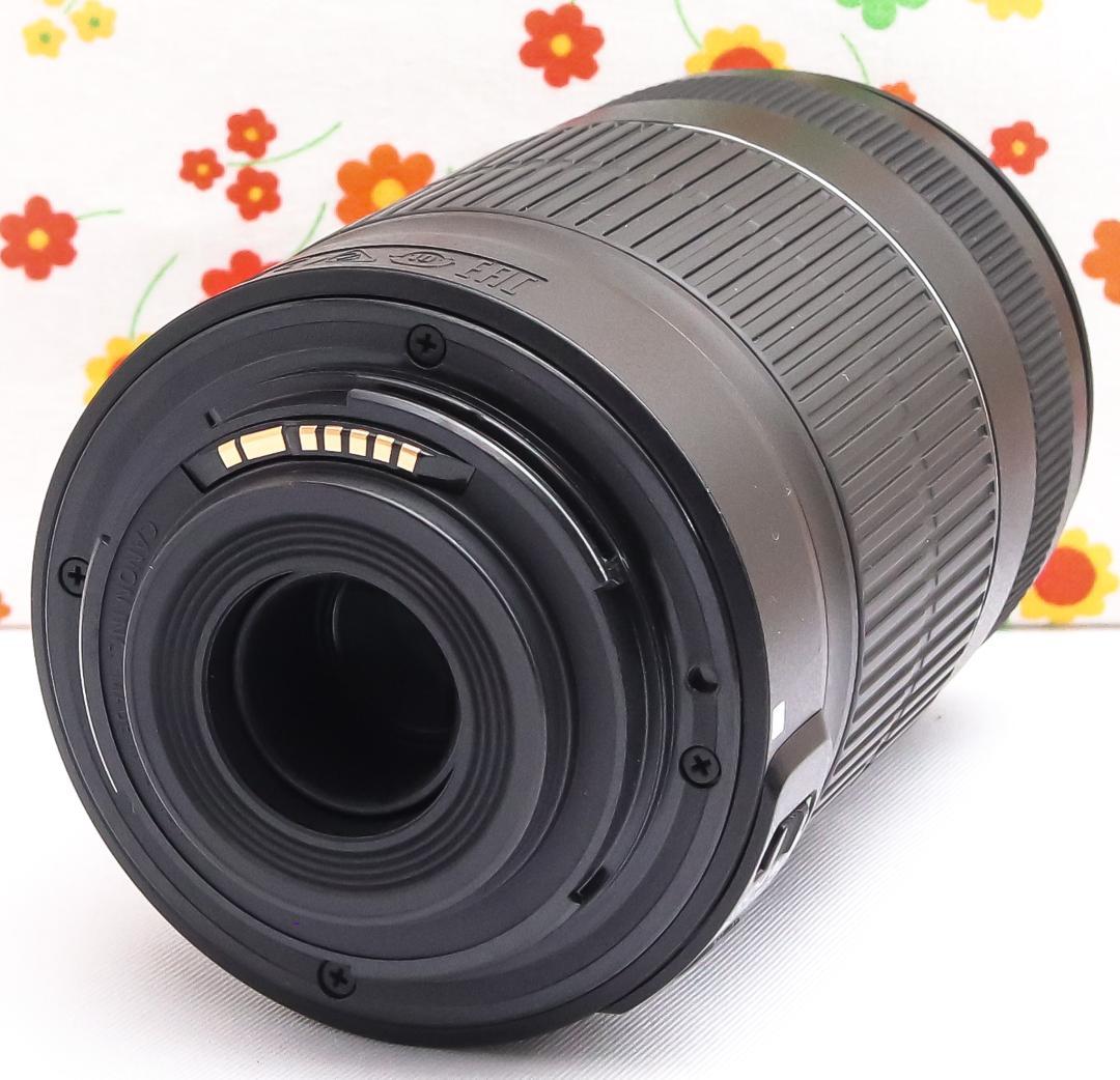 キャノン Canon EF-S 55-250mm IS II☆遠くの笑顔くっきり