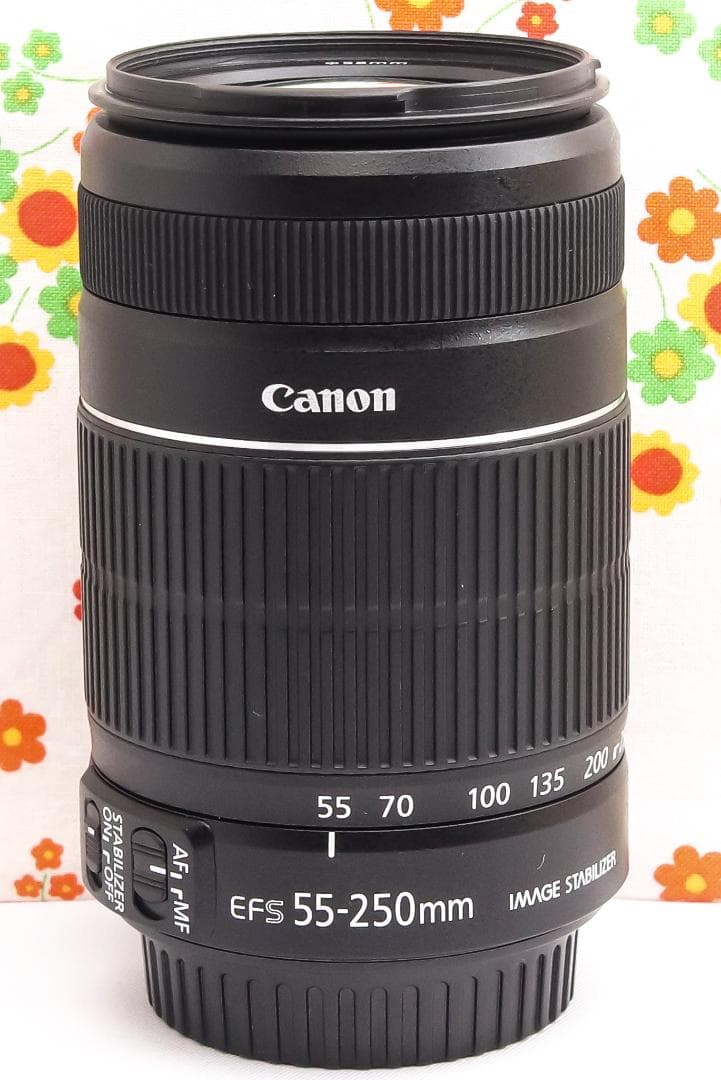 キャノン Canon EF-S 55-250mm IS II☆遠くの笑顔くっきり