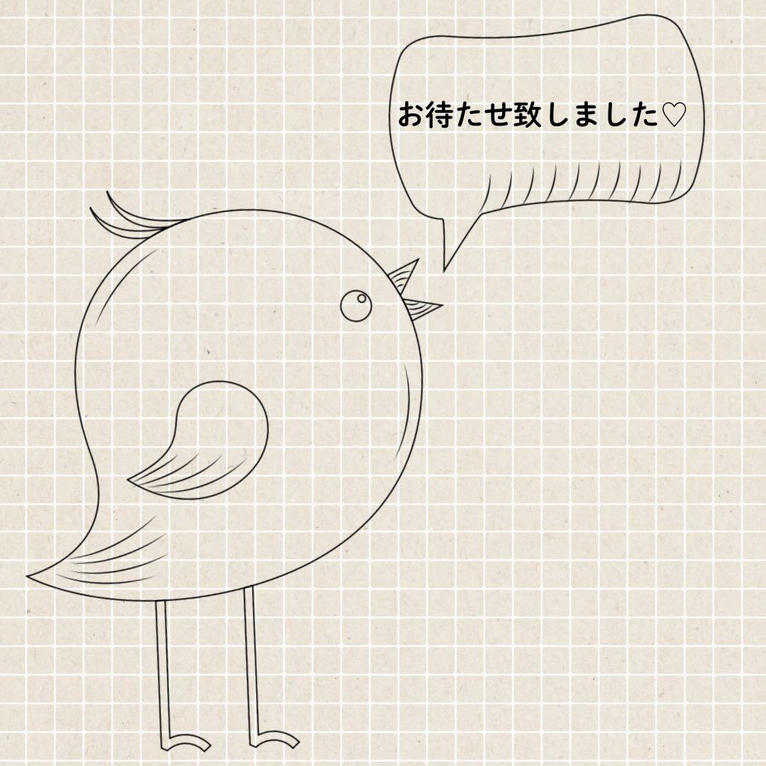 ぶんさま専用（╹◡╹）オーダーコーデ作成中♡