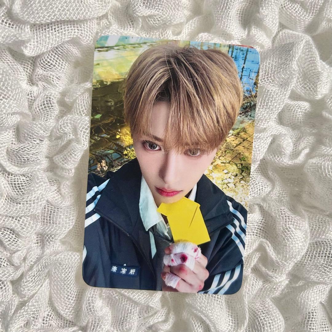 ALD1 アルノ トレカ