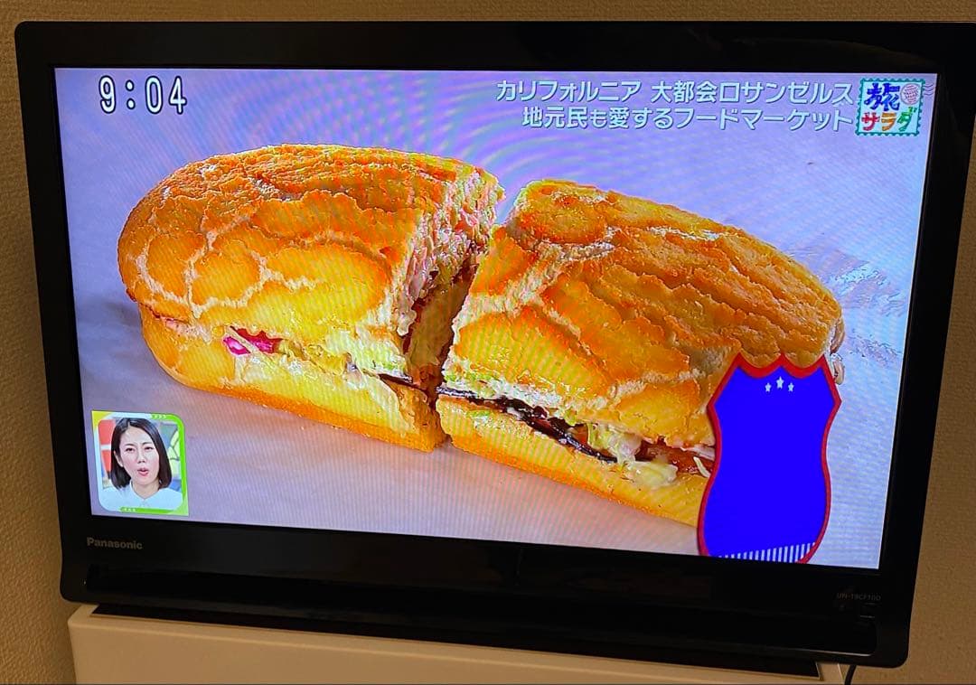 【美品】Panasonicプライベートビエラ UN-19CF10D 2020年製