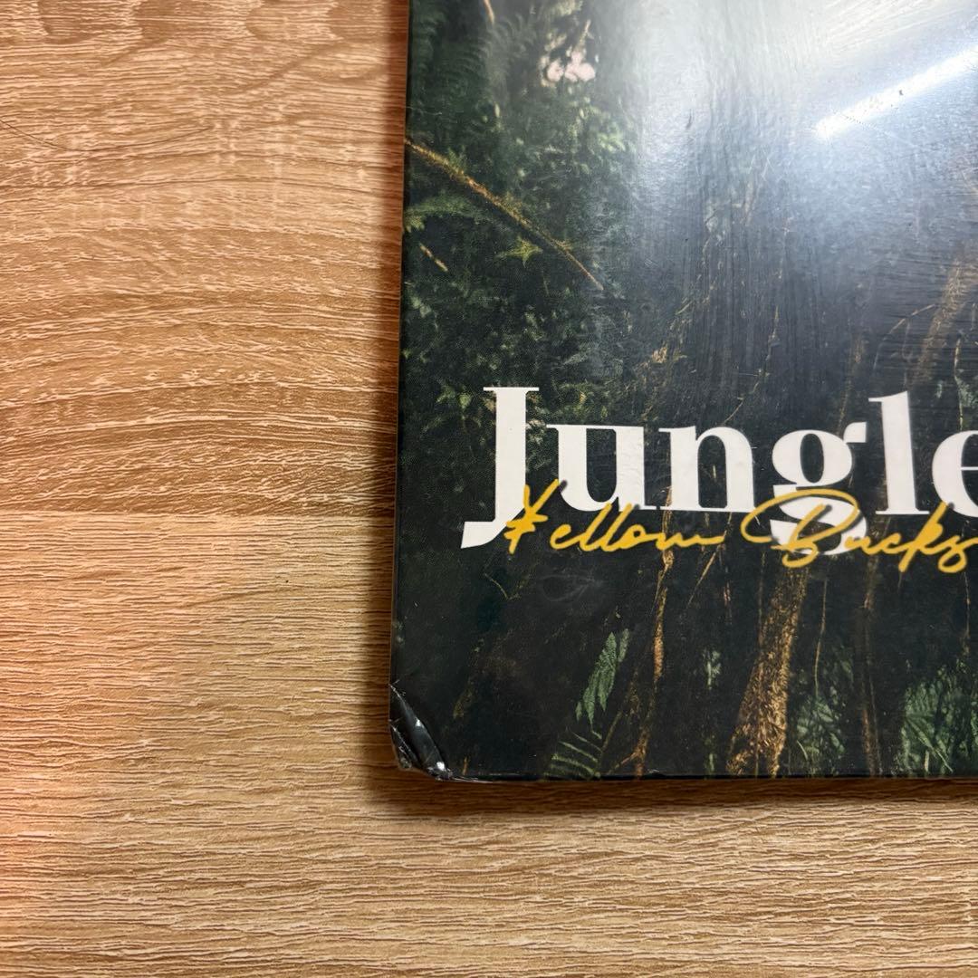 【未開封品】¥ELLOW BUCKS 廃盤レコード Jungle