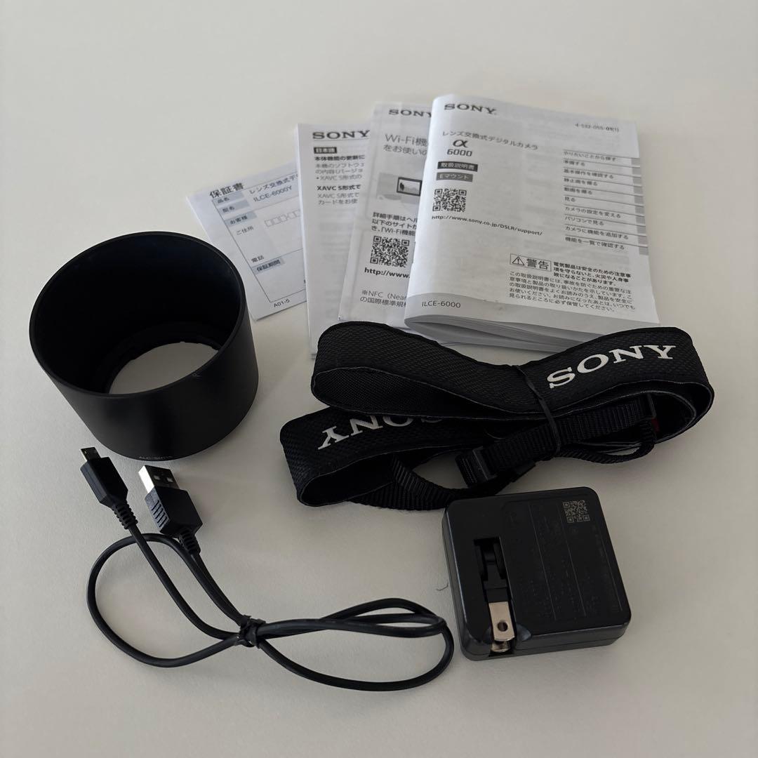 SONY α6000 ミラーレスダブルズームレンズカメラ