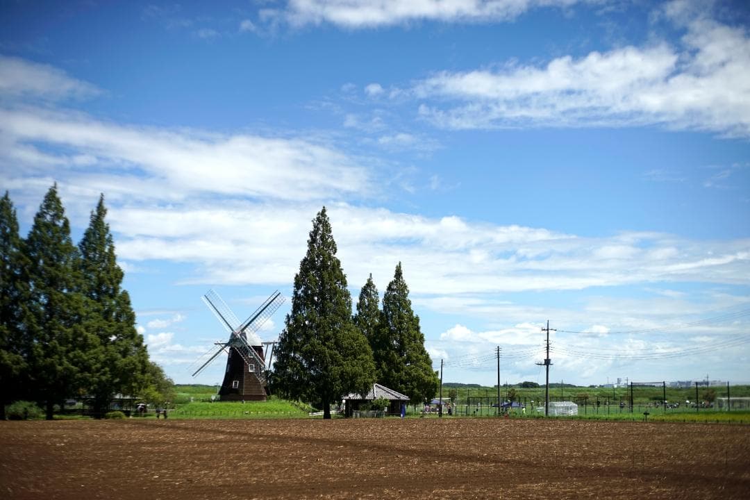 RICOH XR RIKENON 50mm f2 L 整備済 完動品 012