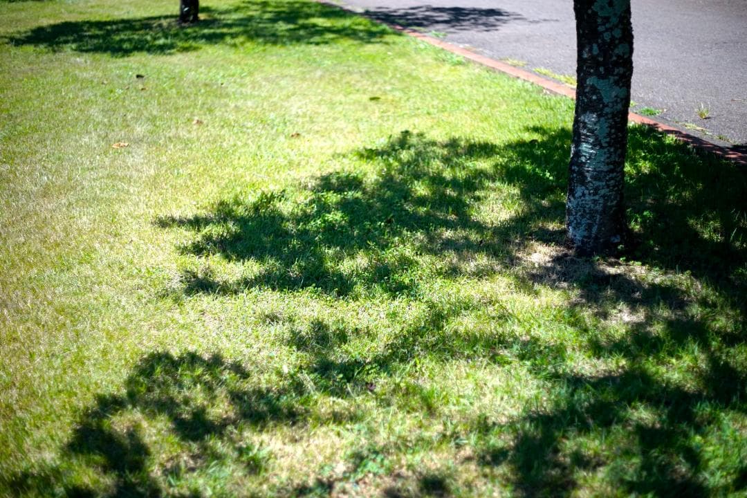 RICOH XR RIKENON 50mm f2 L 整備済 完動品 012