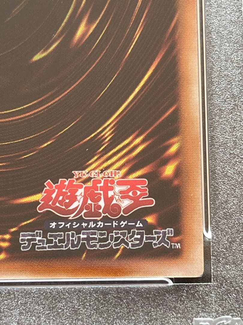 【完美品】カオスソルジャーレリーフPSA10