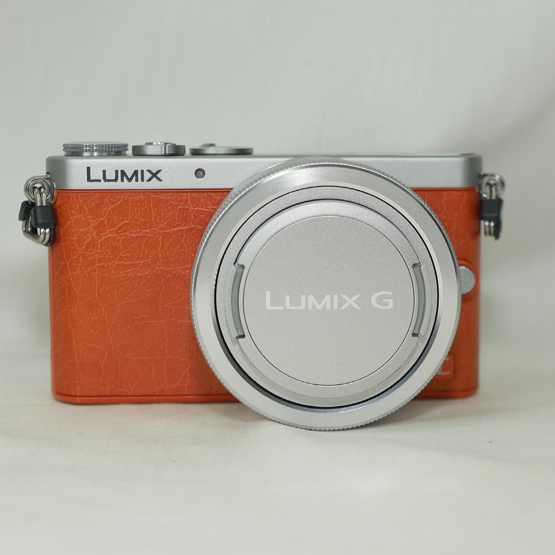 Panasonic Lumix DMC-GM1レンズキット