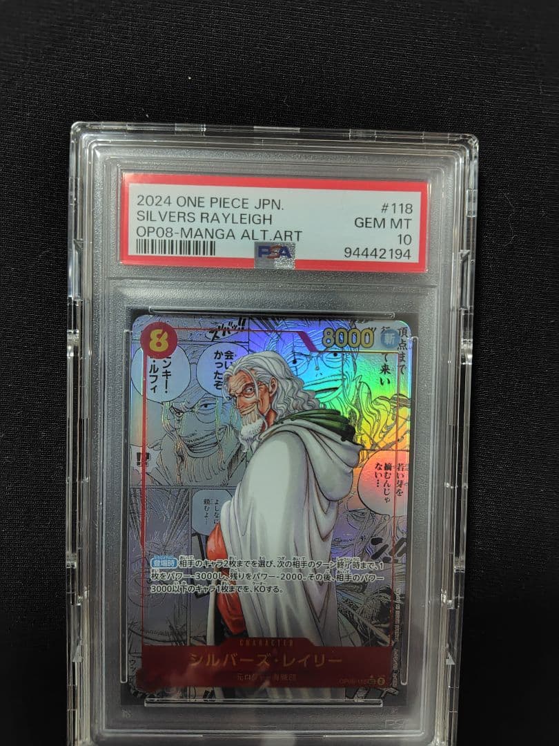 レイリーコミパラpsa10