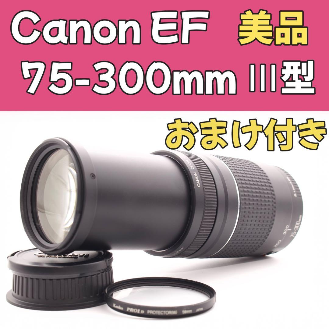 美品❣️Canon EF 75-300mm Ⅲ✨超望遠レンズ　運動会　風景