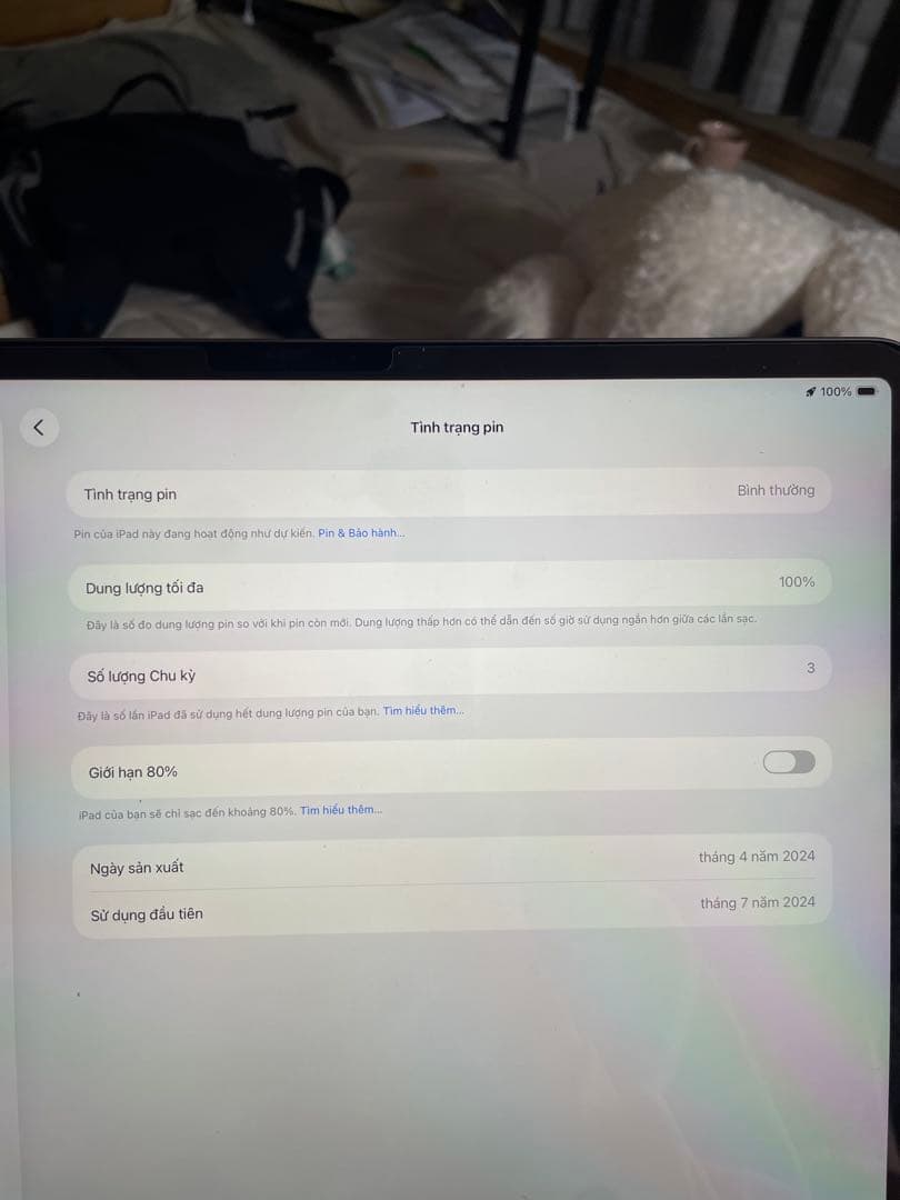 Apple iPad Air（M2）13インチ ( 美品 )