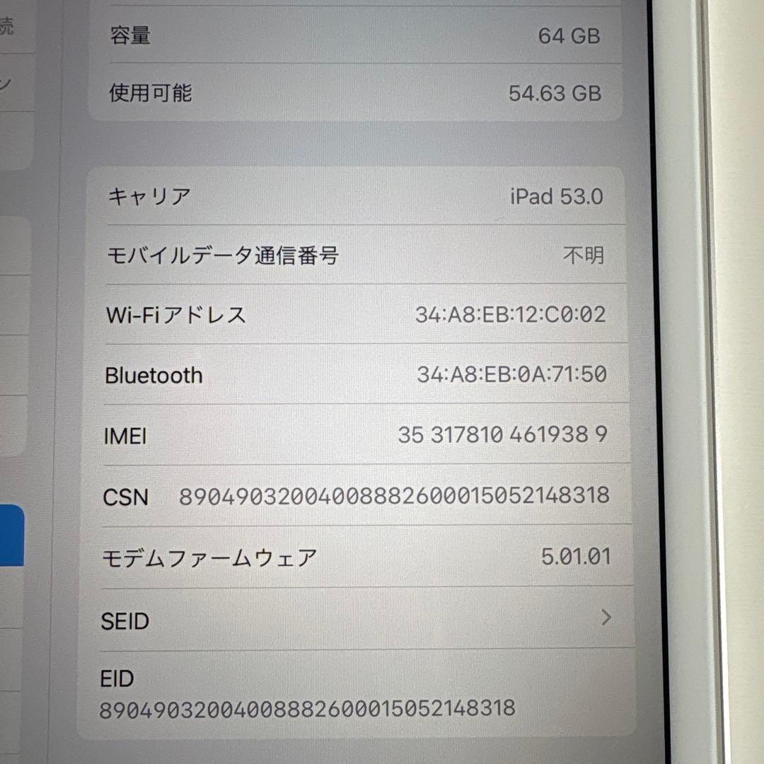 【美品】iPad mini5 セルラー 64GB SIMフリー(65)