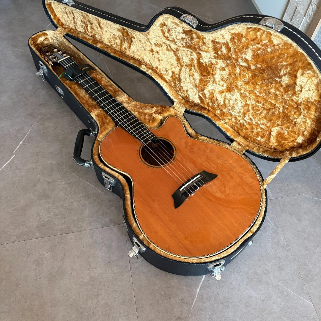 タカミネ　ガッドエレアコギター　PT-115N ST