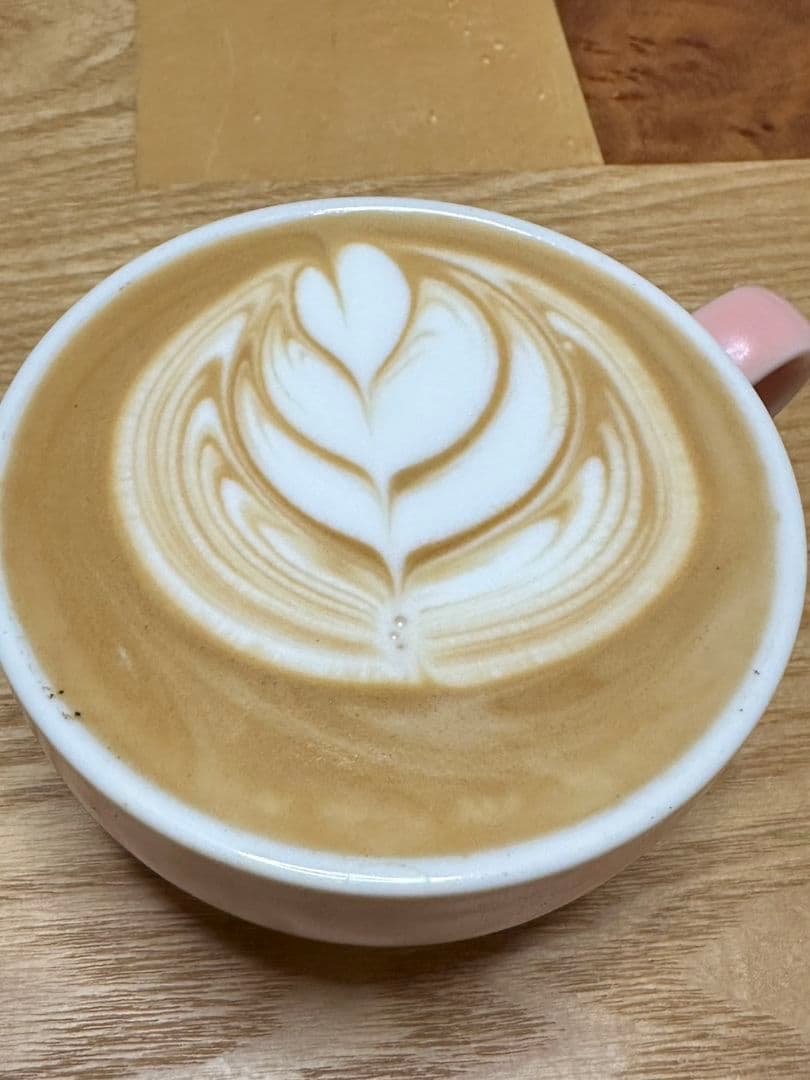 付属品多数つき！De'Longhi エスプレッソマシン EC680