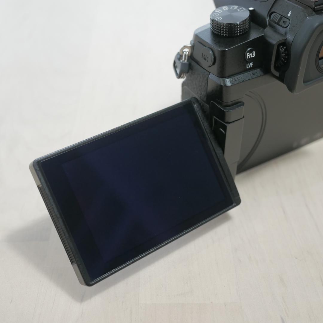 中古美品 LUMIX G99D レンズセット G VARIO 12-60mm