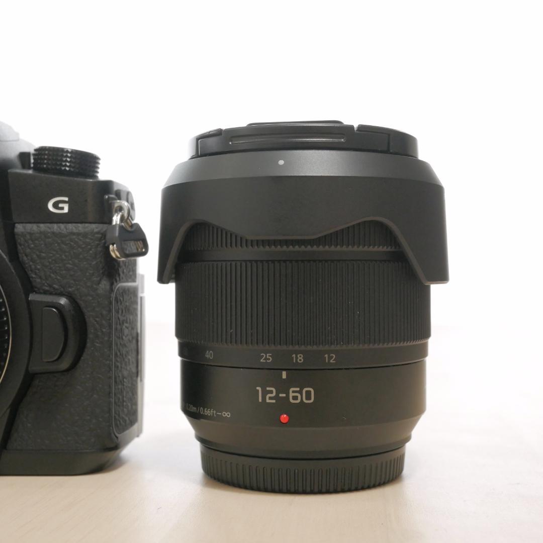 中古美品 LUMIX G99D レンズセット G VARIO 12-60mm