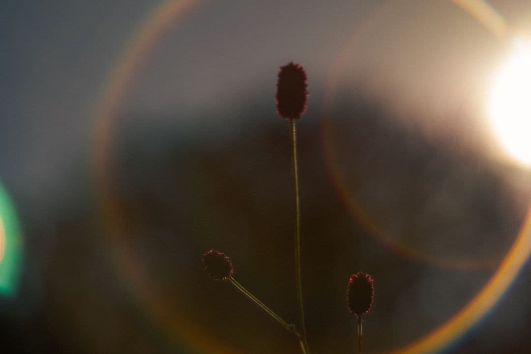 ​極上品ショット数4843回OM-D E-M10 MarkII エモいレンズ3本