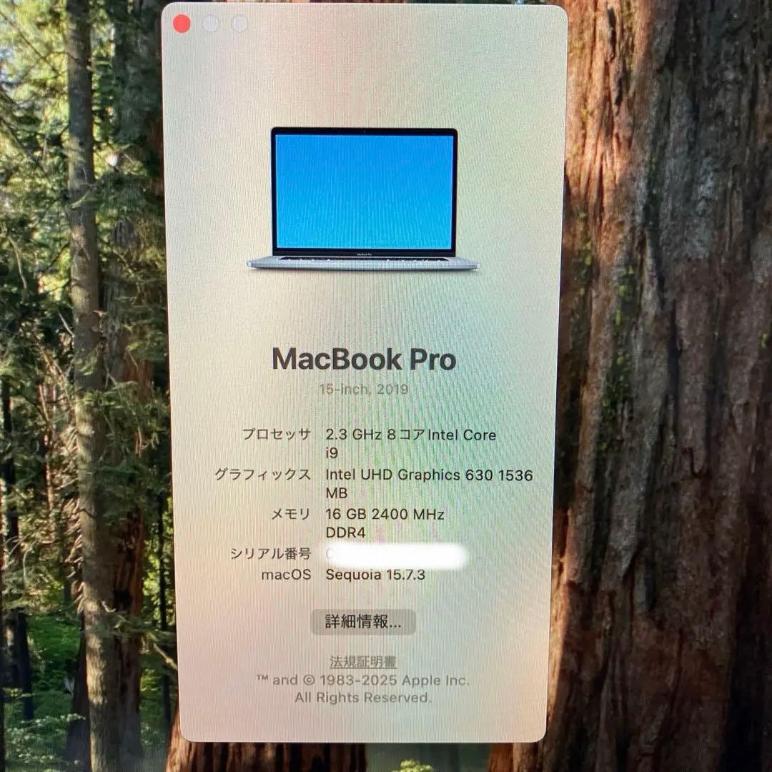 MacBook Pro Intel i9 メモリ16GB 1TBストレージ