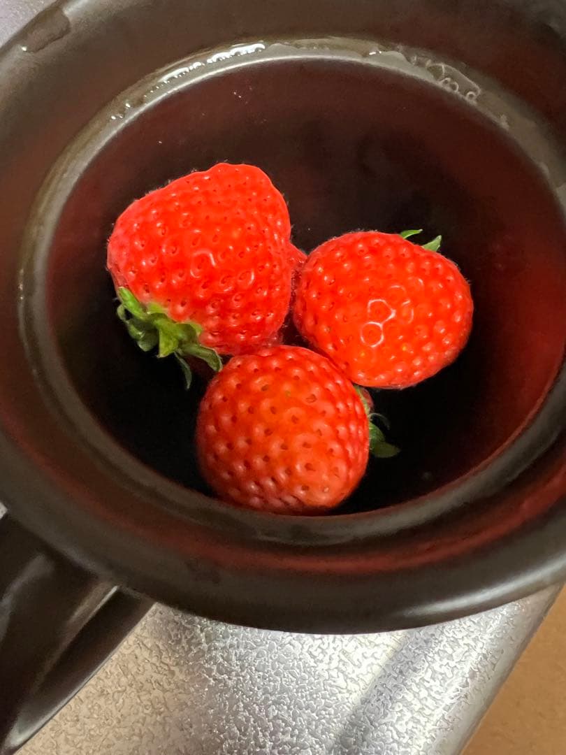 【新品】マイクロ波対策！電子レンジ専用小判型！使い勝手良いとリピートする方多数！