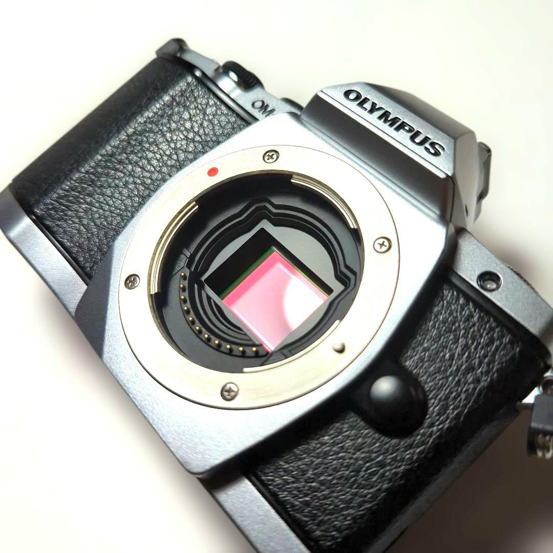 OLYMPUS OM-D E-M5 ショット数26831枚