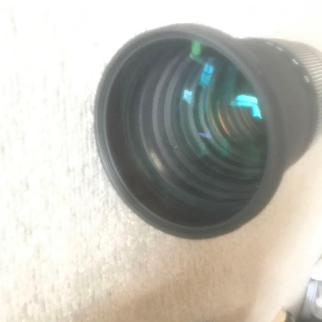 Ｓ IGMA APO DG 120-300mm 1:2.8 H SM